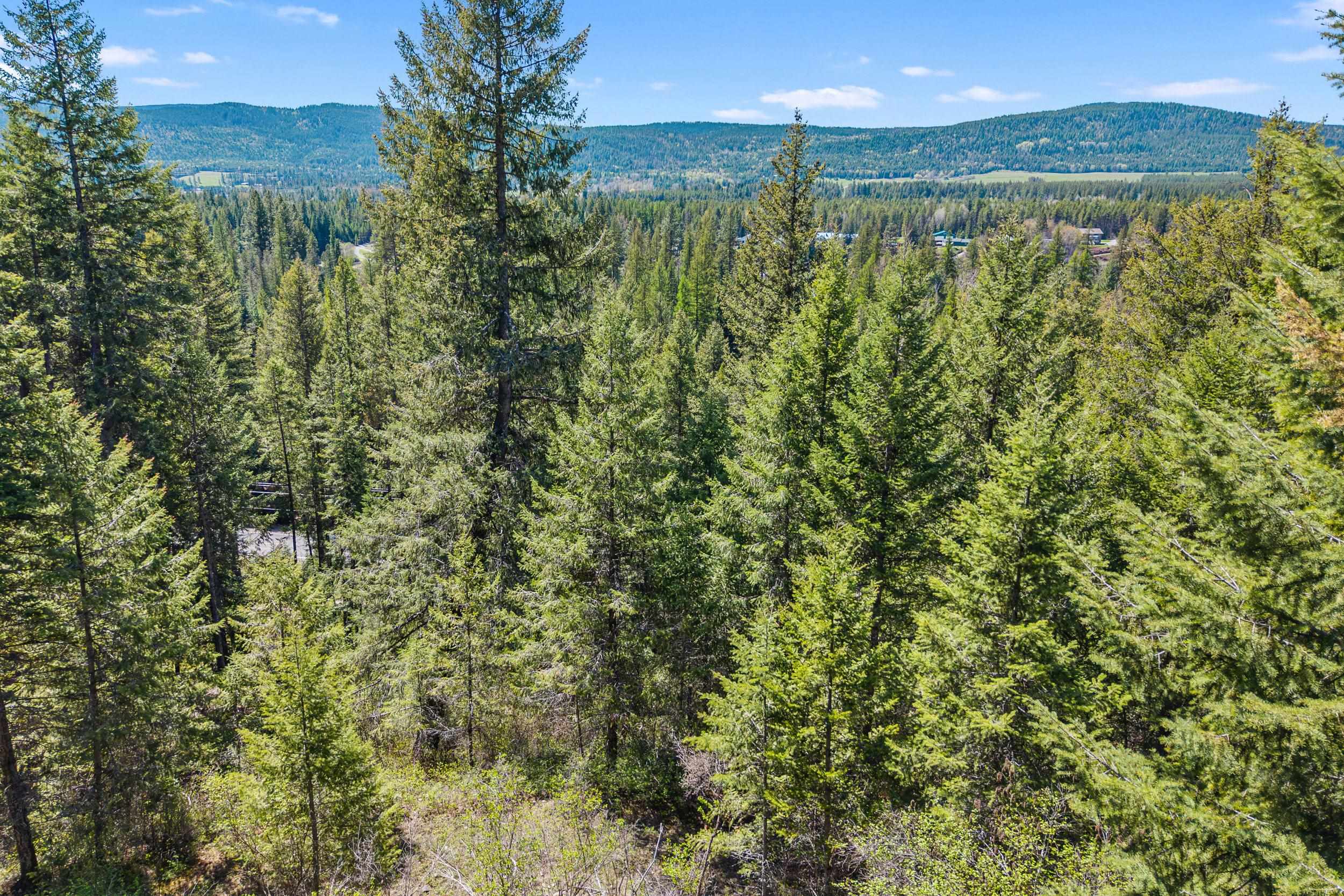 30762 LeClerc Road North Ione, WA 99139 - Photo 33 of 40