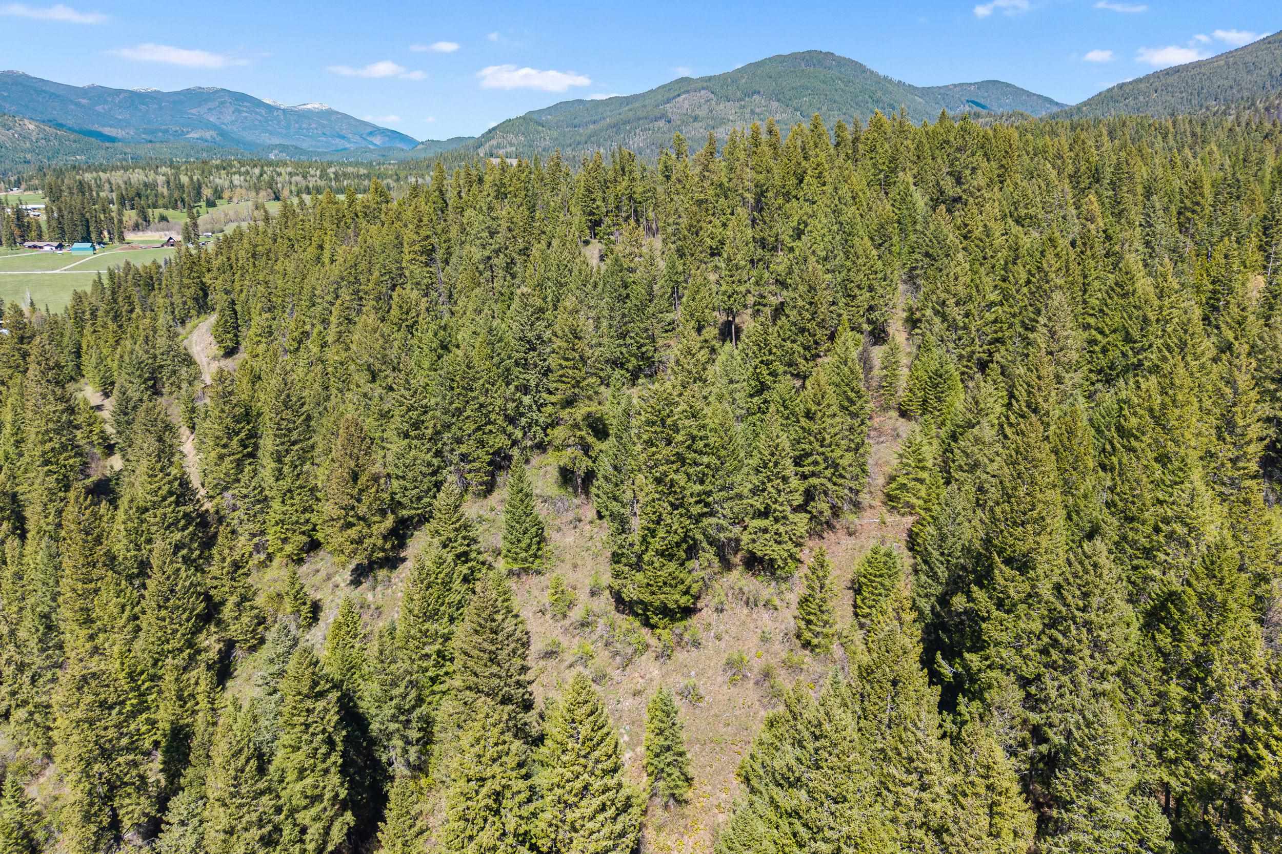 30762 LeClerc Road North Ione, WA 99139 - Photo 34 of 40
