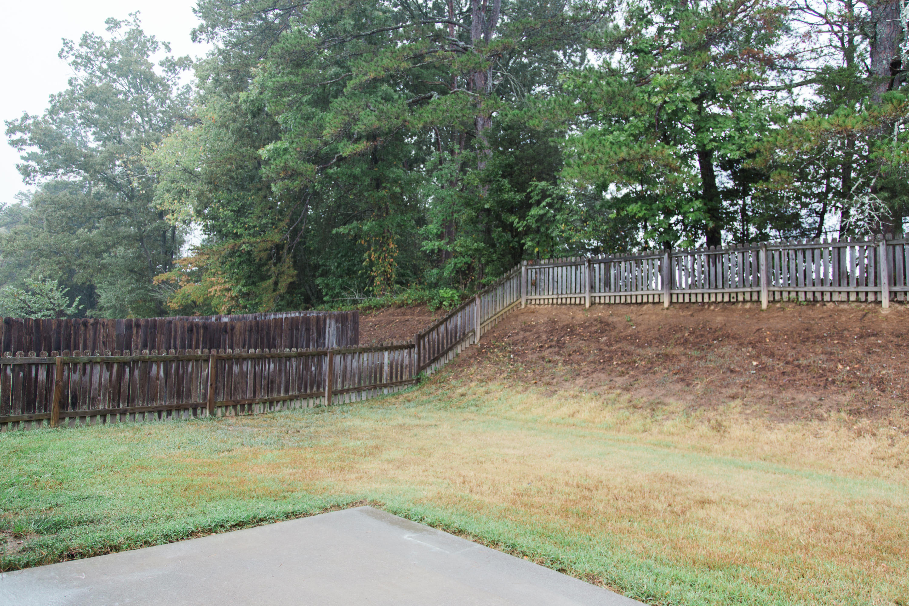 7652 Applecross Road Corryton, TN 37721 - Photo 14 of 15 JennBrownPhoto-0019