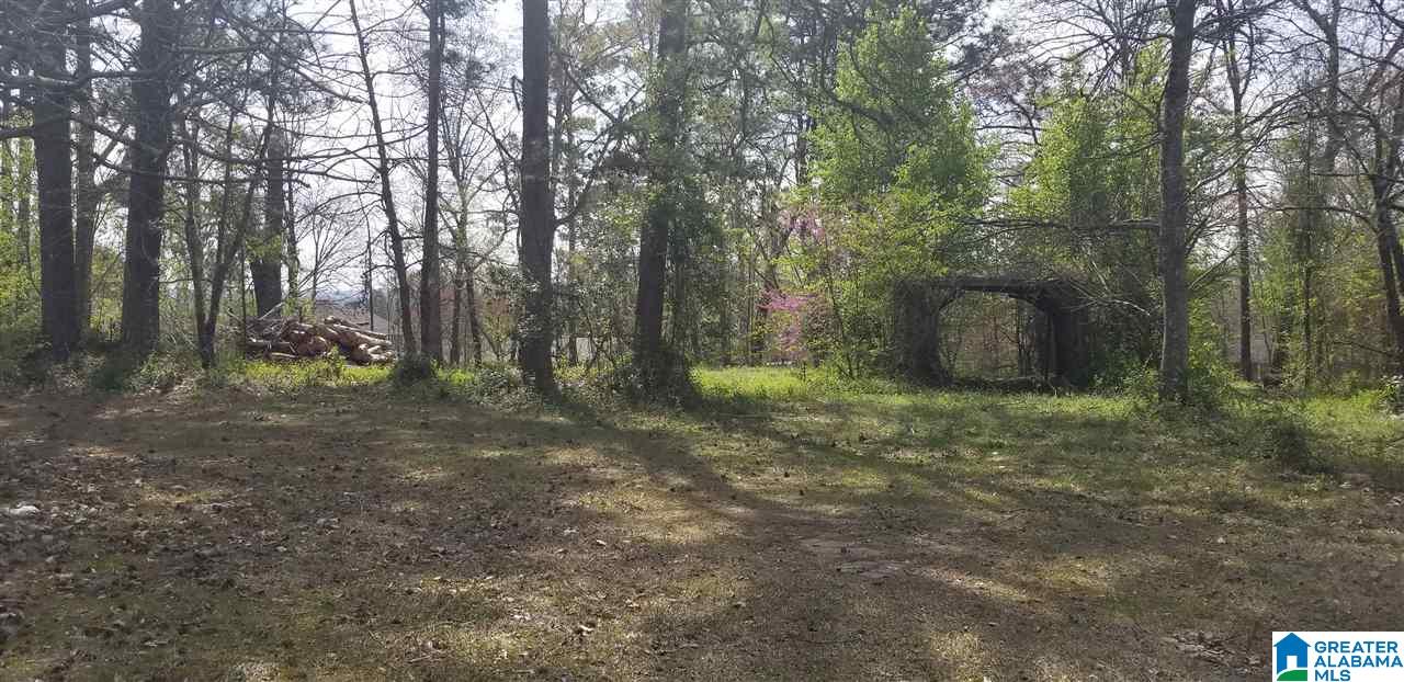 1113 Patton Chapel Road, Unit 3A Birmingham, AL 35226 - Photo 6 of 6