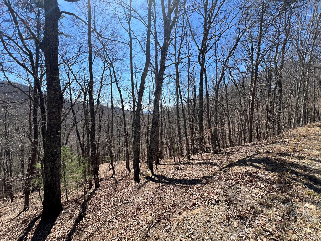 Lots Wolf Mountain Road Murphy, NC 28906 - Photo 10 of 27