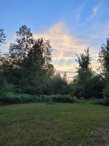 $15,000 | 0 Sarsi Cove, Evart, MI 49631