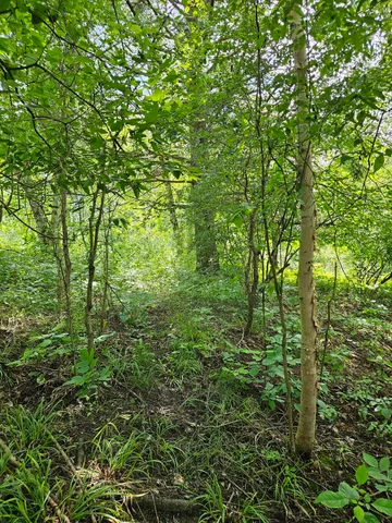 $15,000 | 0 Sarsi Cove, Evart, MI 49631