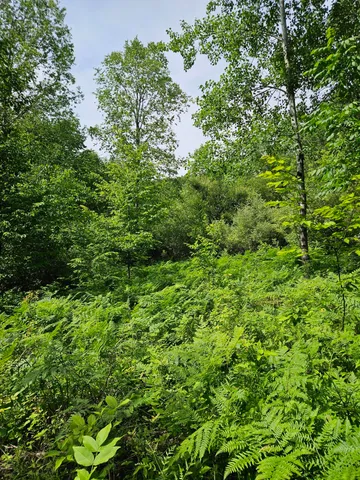 $15,000 | 0 Sarsi Cove, Evart, MI 49631