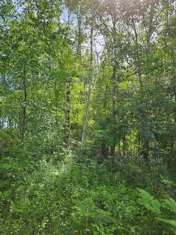 $15,000 | 0 Sarsi Cove, Evart, MI 49631