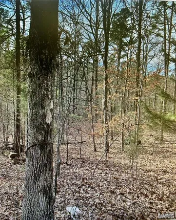$52,900 | 10365 Price Trail, Potosi, MO 63664