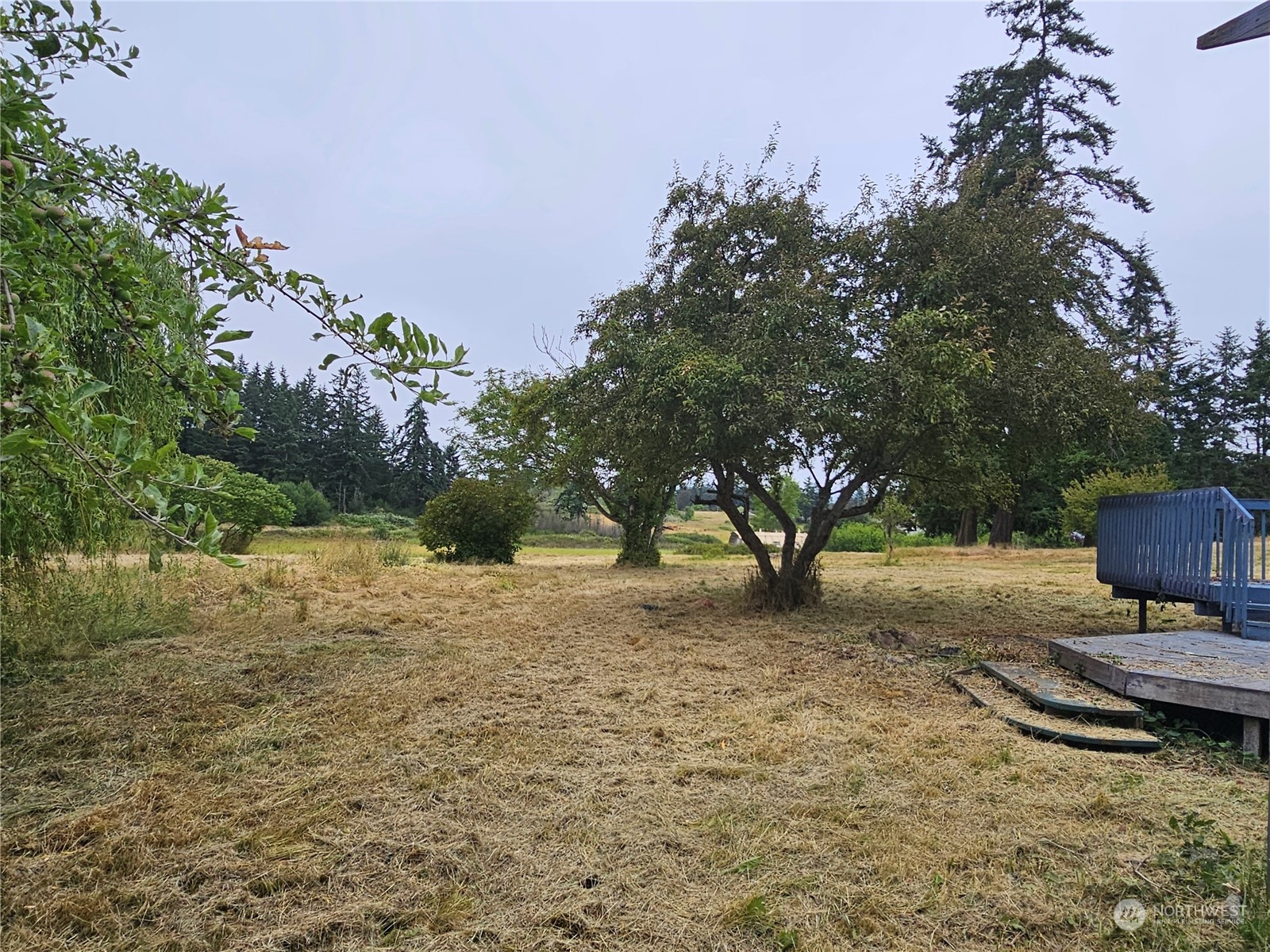 30159 State Rte 20 Oak Harbor, WA 98277 - Photo 25 of 28 Gallery Image 25