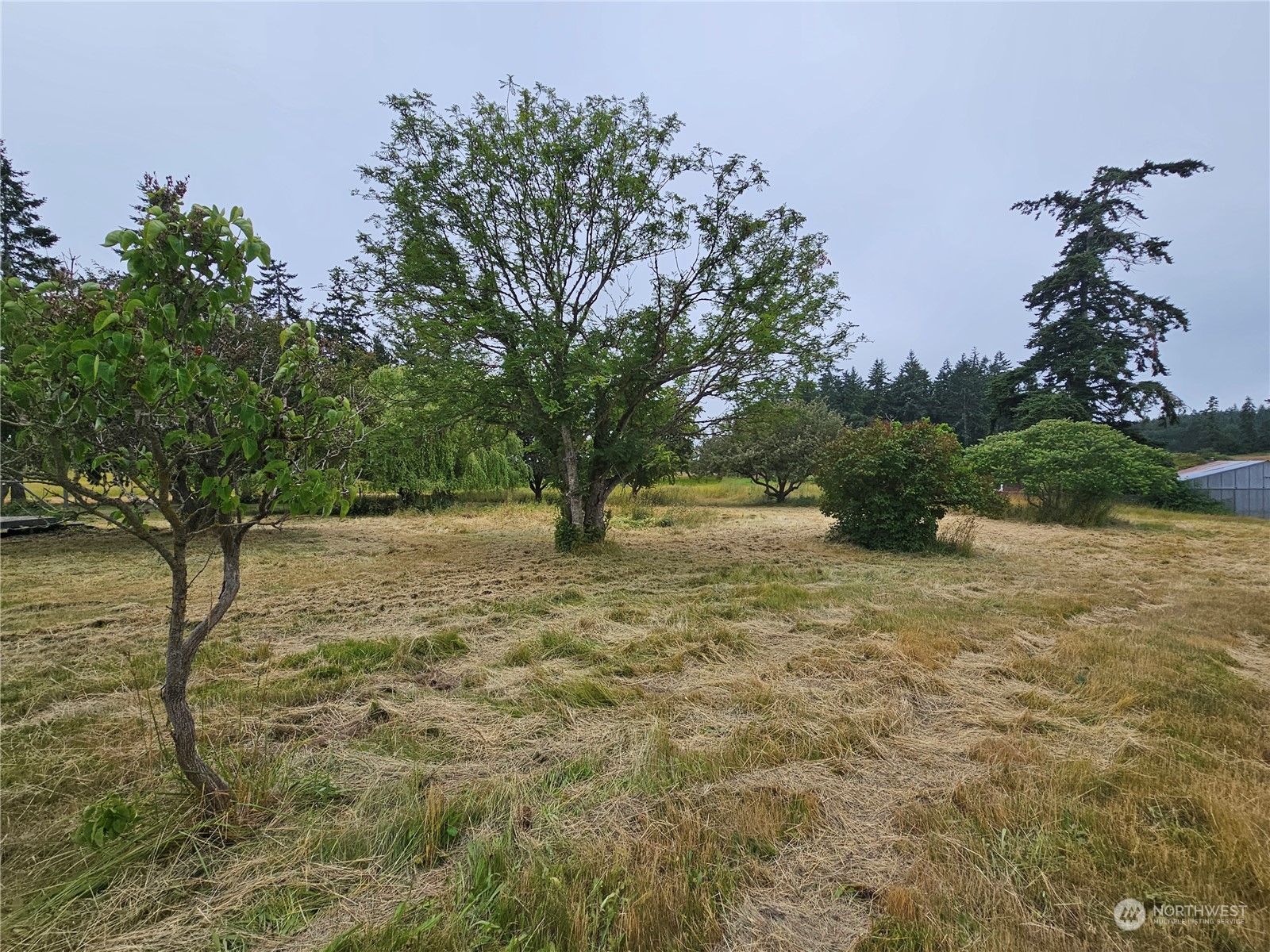 30159 State Rte 20 Oak Harbor, WA 98277 - Photo 26 of 28 Gallery Image 26