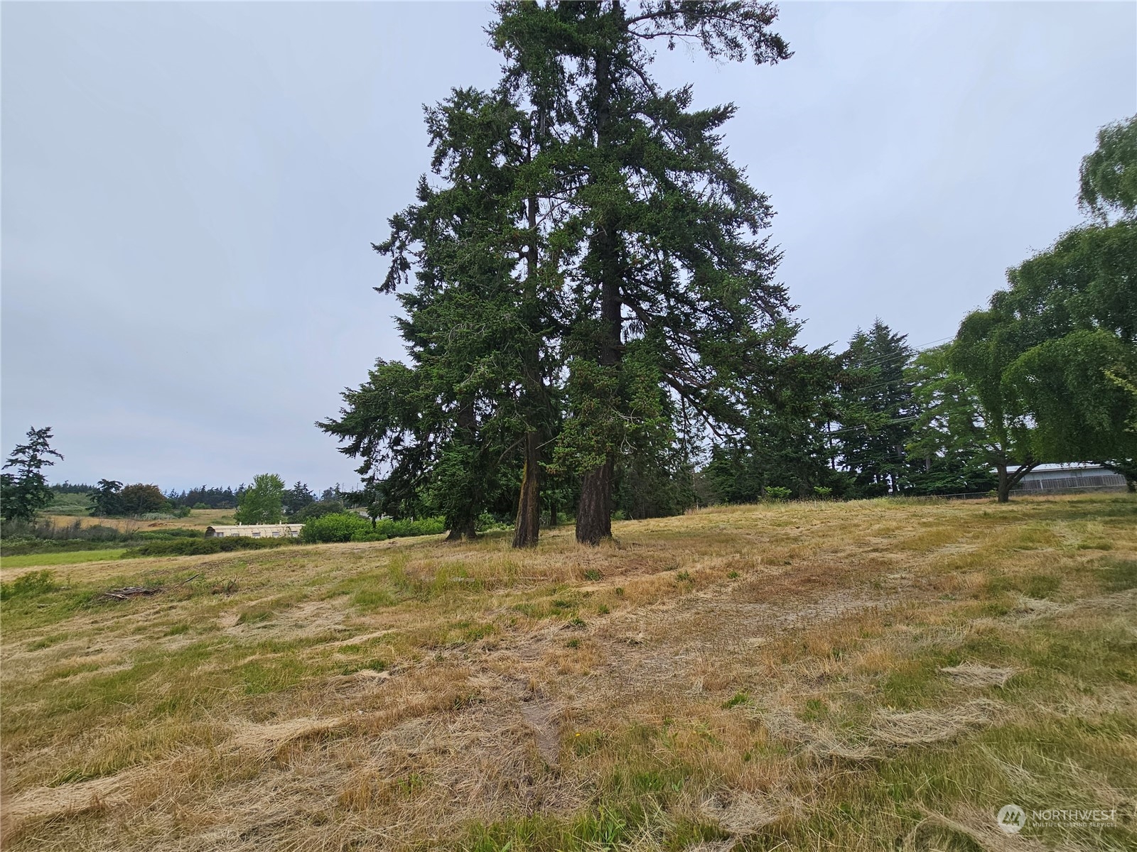 30159 State Rte 20 Oak Harbor, WA 98277 - Photo 27 of 28 Gallery Image 27