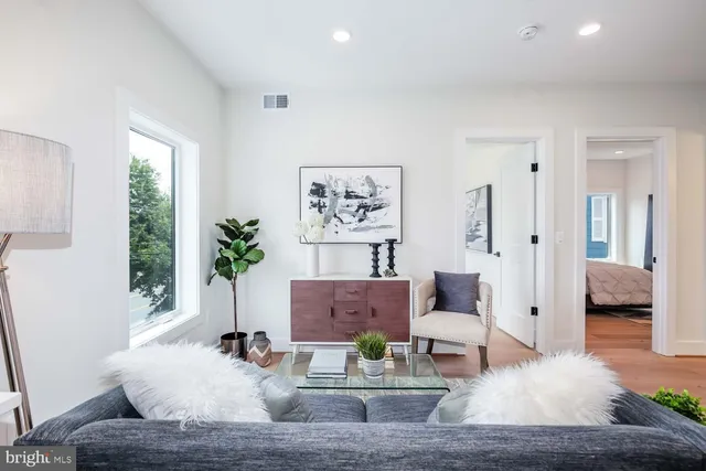 a living room with furniture and a potted plant