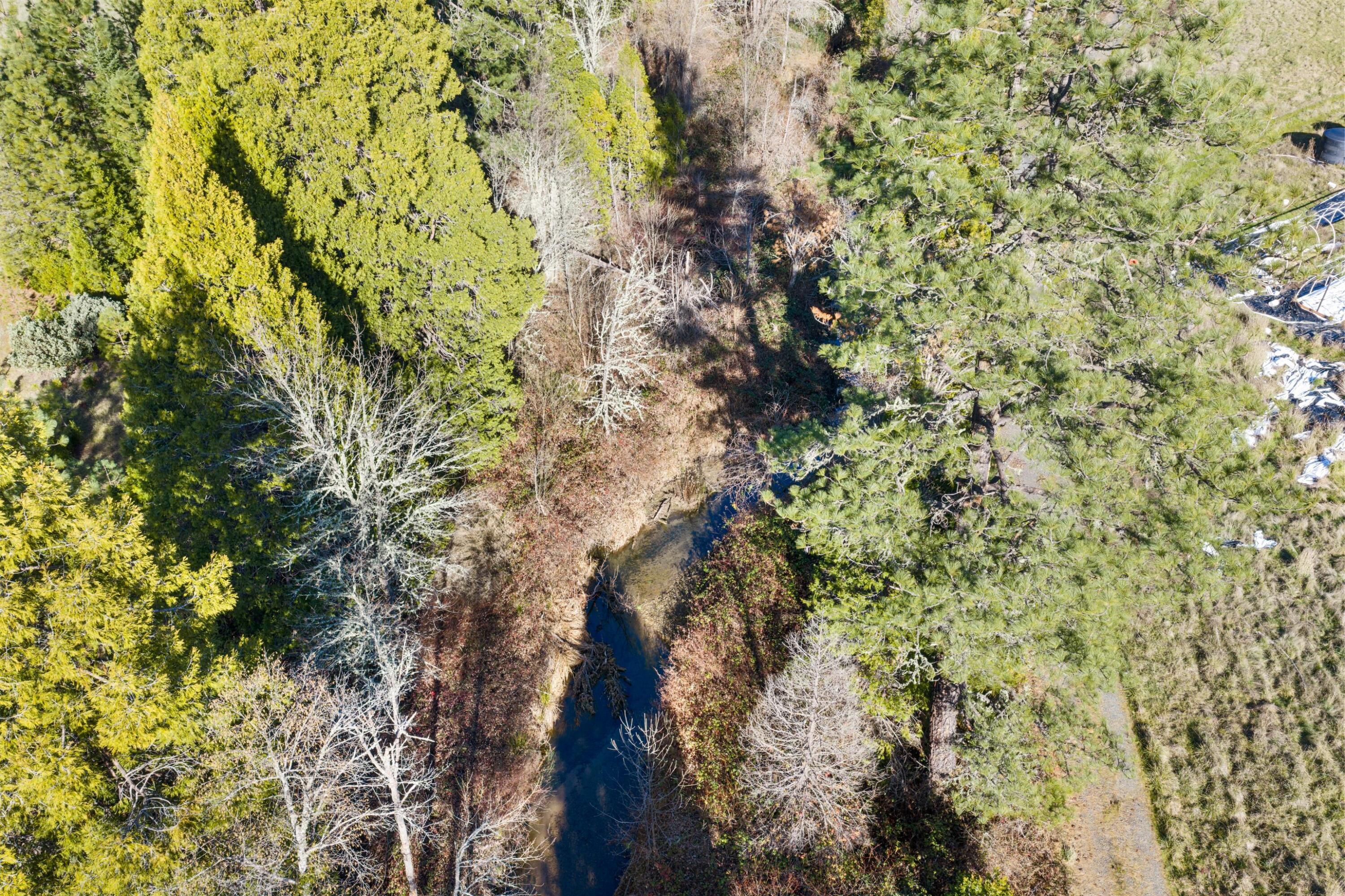 1491 Draper Valley Road Selma, OR 97538 - Photo 12 of 16 creek