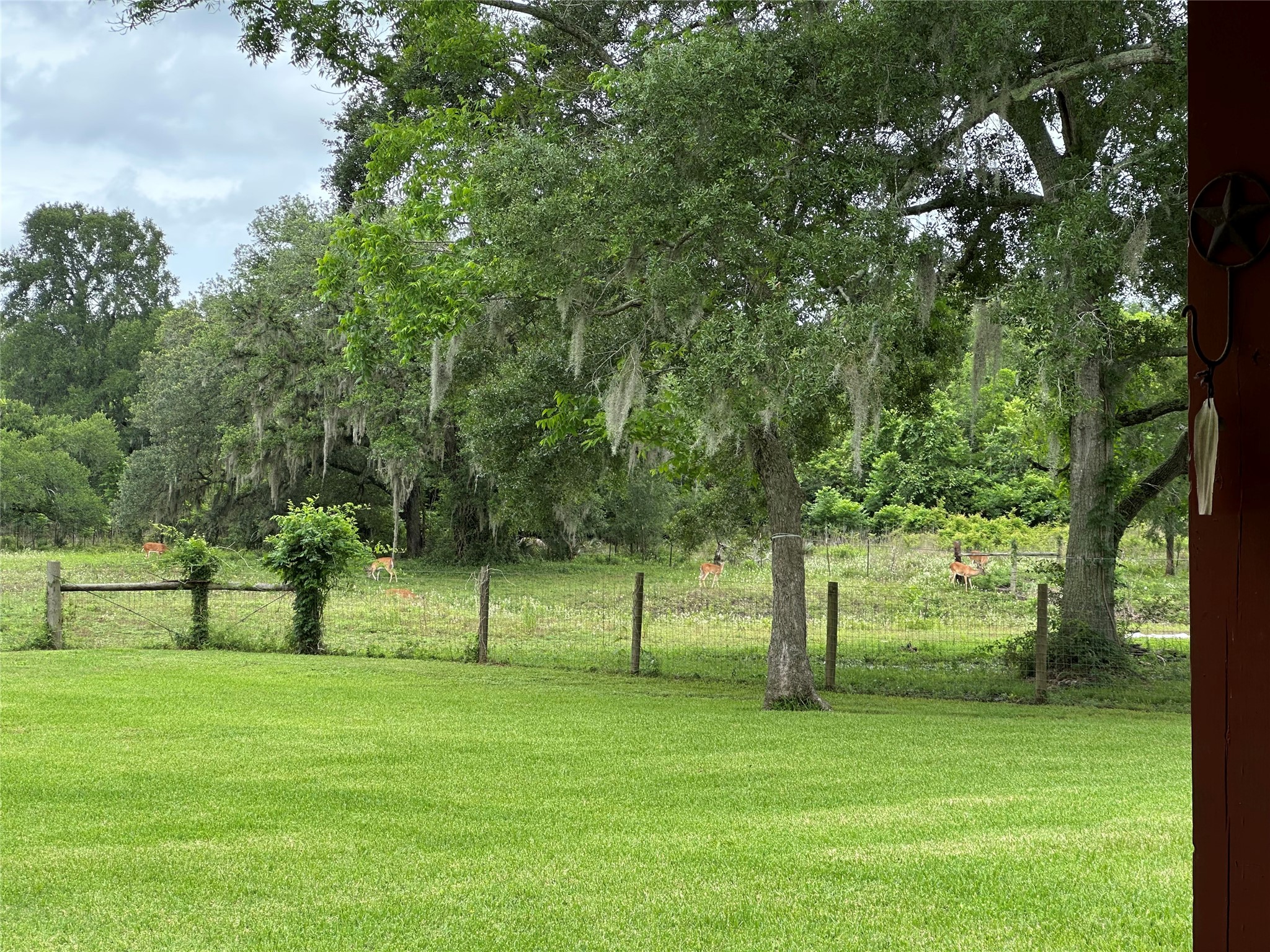 2668 FM 522 Road Brazoria, TX 77422 - Photo 13 of 17