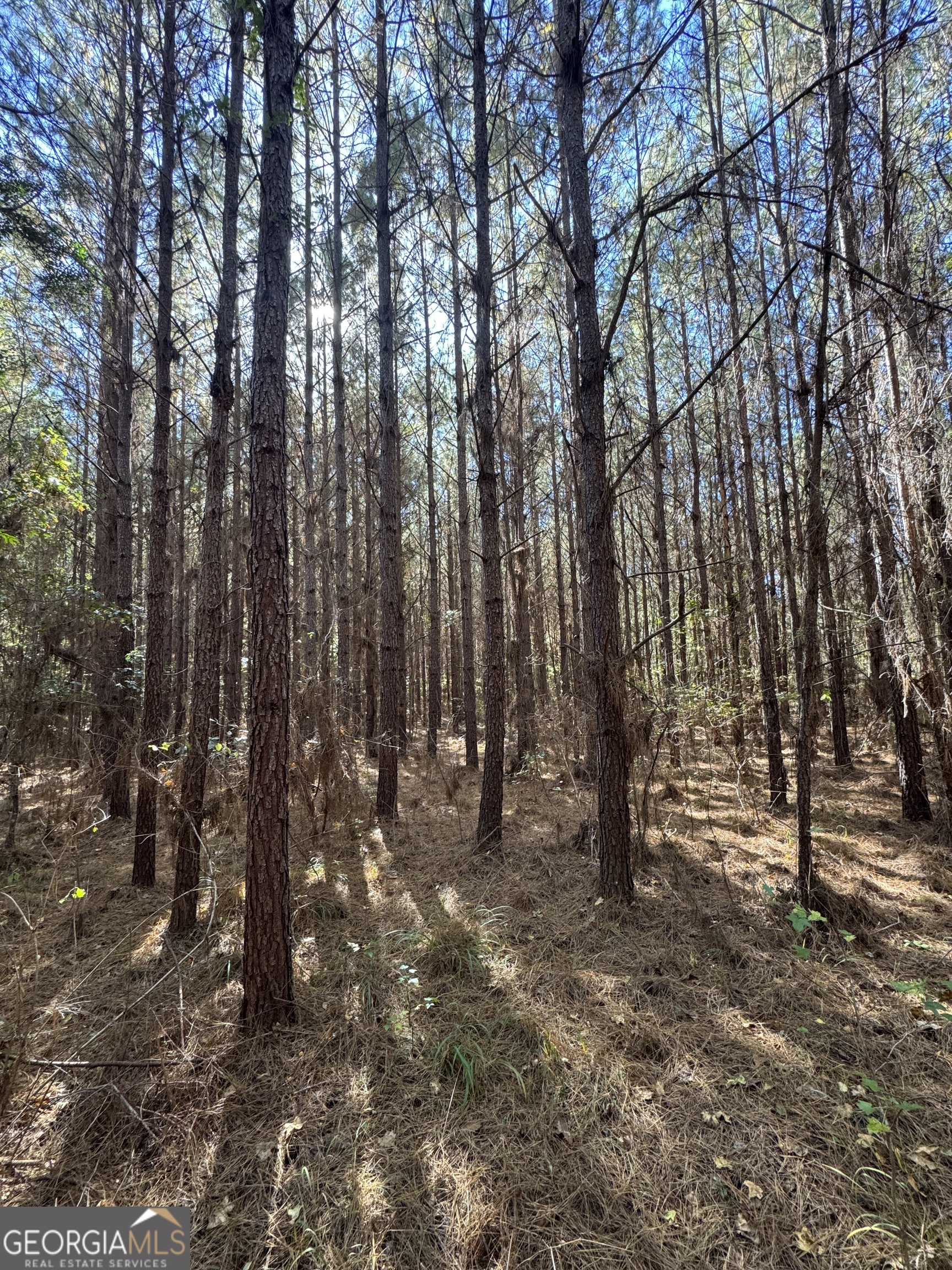 0 Jones Bridge Road Sparta, GA 31087 - Photo 2 of 8 a view of outdoor space and yard