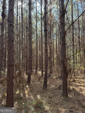 a view of outdoor space with lots of trees