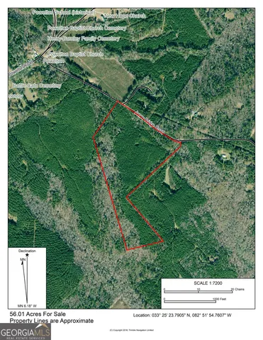 a view of a green yard with large trees