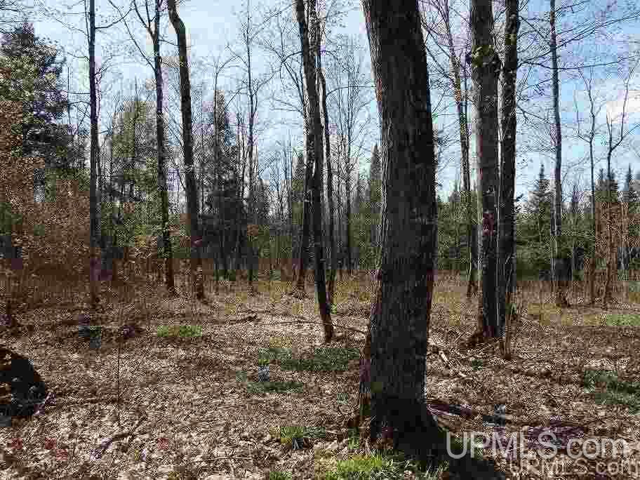 Tbd Tbd Us41 Lanse, MI 49946 - Photo 14 of 23