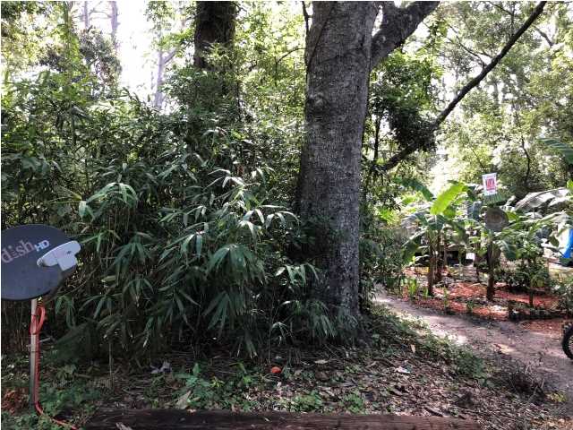 608 4th Street West Carrabelle, FL 32322 - Photo 1 of 1