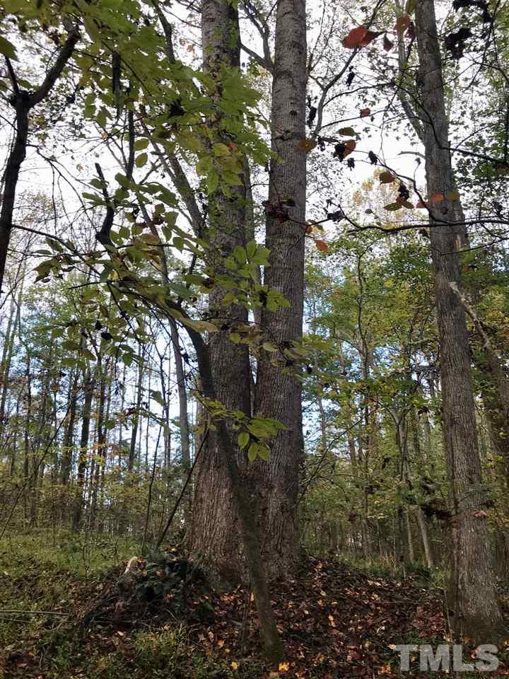Lot 1 Ruff Davis Road Roxboro, NC 27574 - Photo 14 of 17 Gallery Image 14