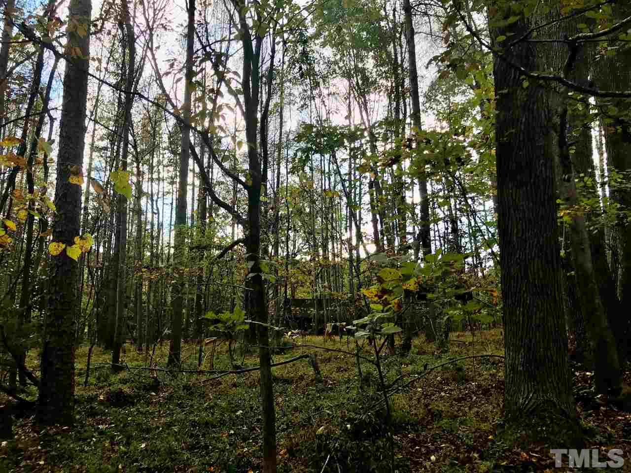 Lot 1 Ruff Davis Road Roxboro, NC 27574 - Photo 8 of 17 Gallery Image 8