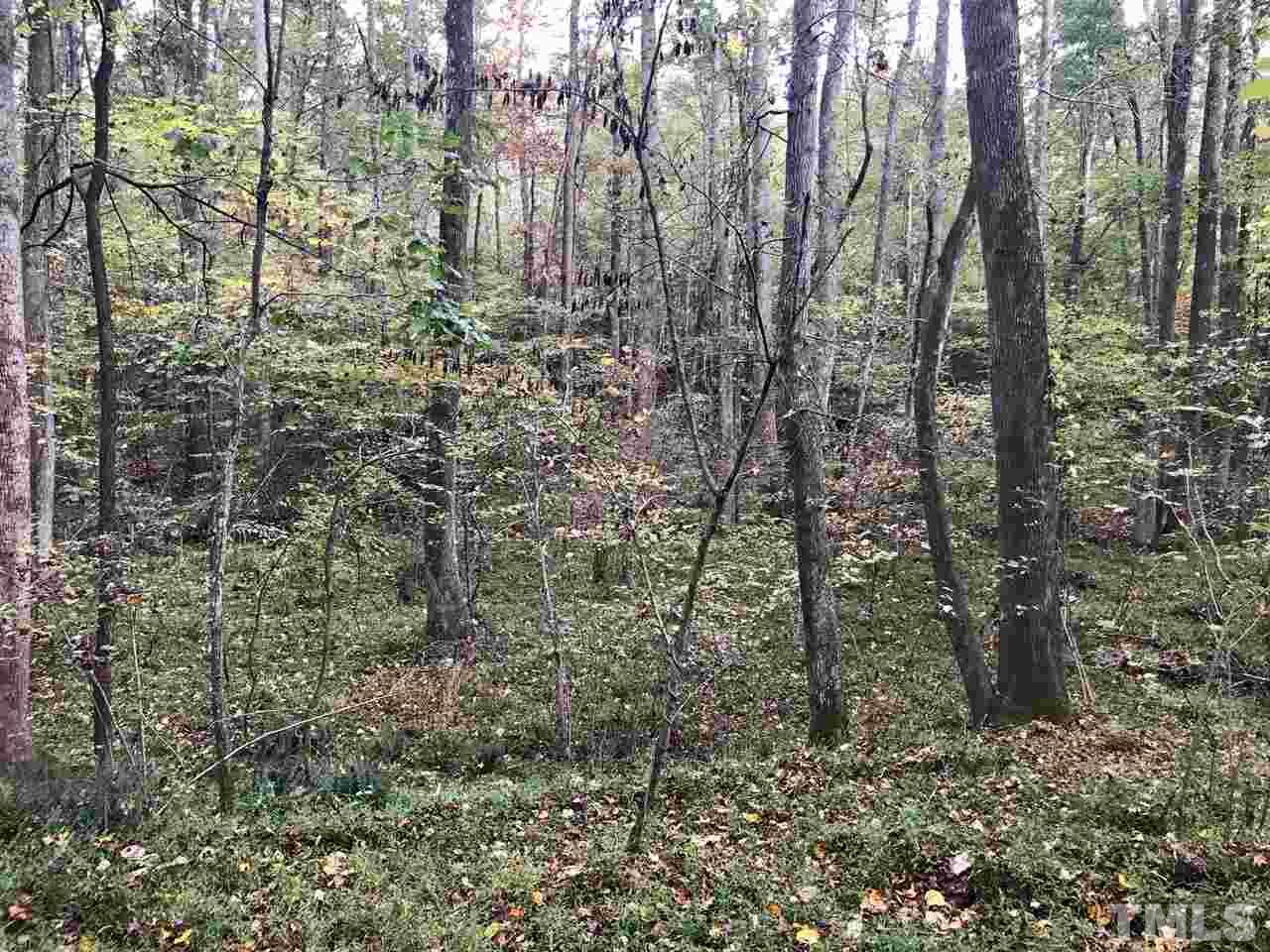 Lot 1 Ruff Davis Road Roxboro, NC 27574 - Photo 10 of 17 Gallery Image 10