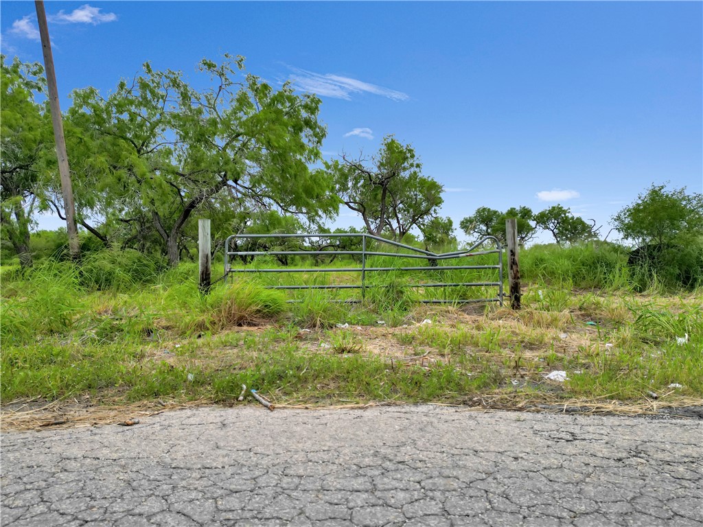 0 East 5th Street Sinton, TX 78387 - Photo 6 of 7 a view of a garden with a tree in the background