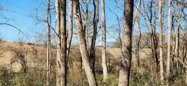 a view of backyard of white apartments with large trees