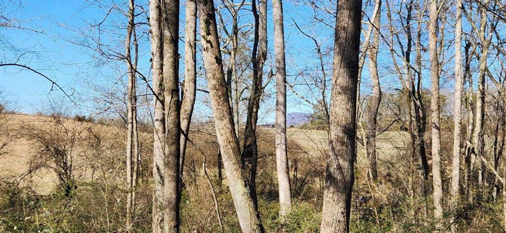 5500 Brookton Lula Road Clermont, GA 30527 - Photo 1 of 9 a view of backyard of white apartments with large trees