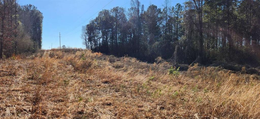 5500 Brookton Lula Road Clermont, GA 30527 - Photo 4 of 9 a backyard of a house