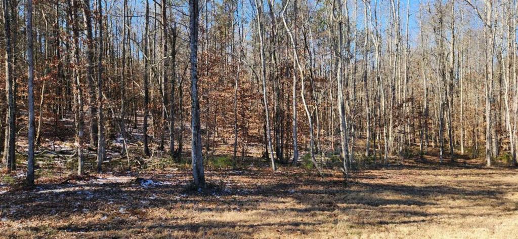 5500 Brookton Lula Road Clermont, GA 30527 - Photo 5 of 9 a view of a backyard with trees