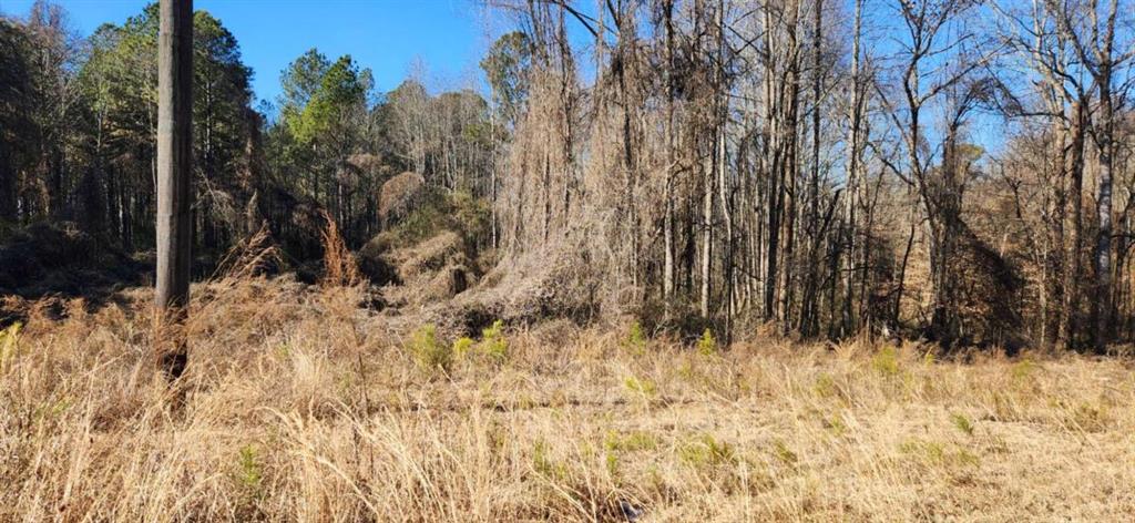 5500 Brookton Lula Road Clermont, GA 30527 - Photo 6 of 9 a view of a yard