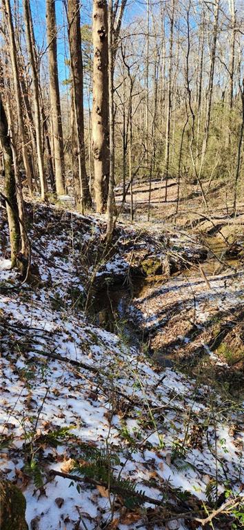 5500 Brookton Lula Road Clermont, GA 30527 - Photo 7 of 9 a view of house with a yard
