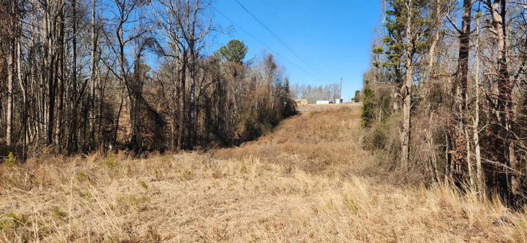 5500 Brookton Lula Road Clermont, GA 30527 - Photo 8 of 9 a view of a yard covered in snow