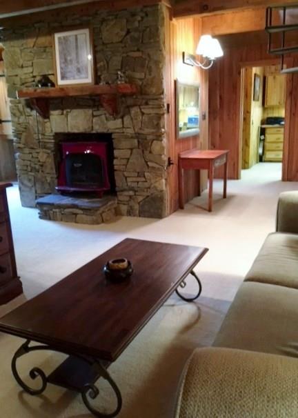 170 Cedar Ridge Lane Somerset, PA 15501 - Photo 18 of 25 Family room stone fireplace