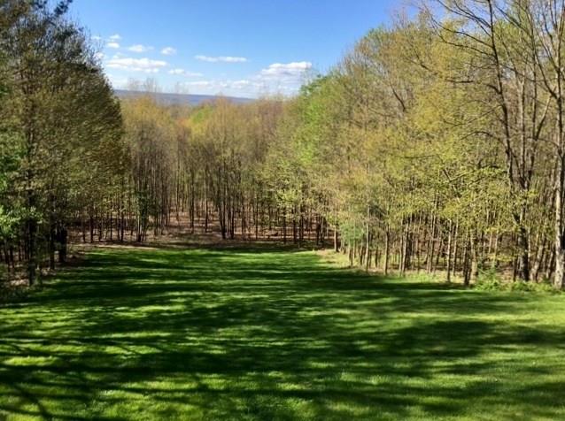 170 Cedar Ridge Lane Somerset, PA 15501 - Photo 24 of 25 View of trees and the mountain and your 5 Acres