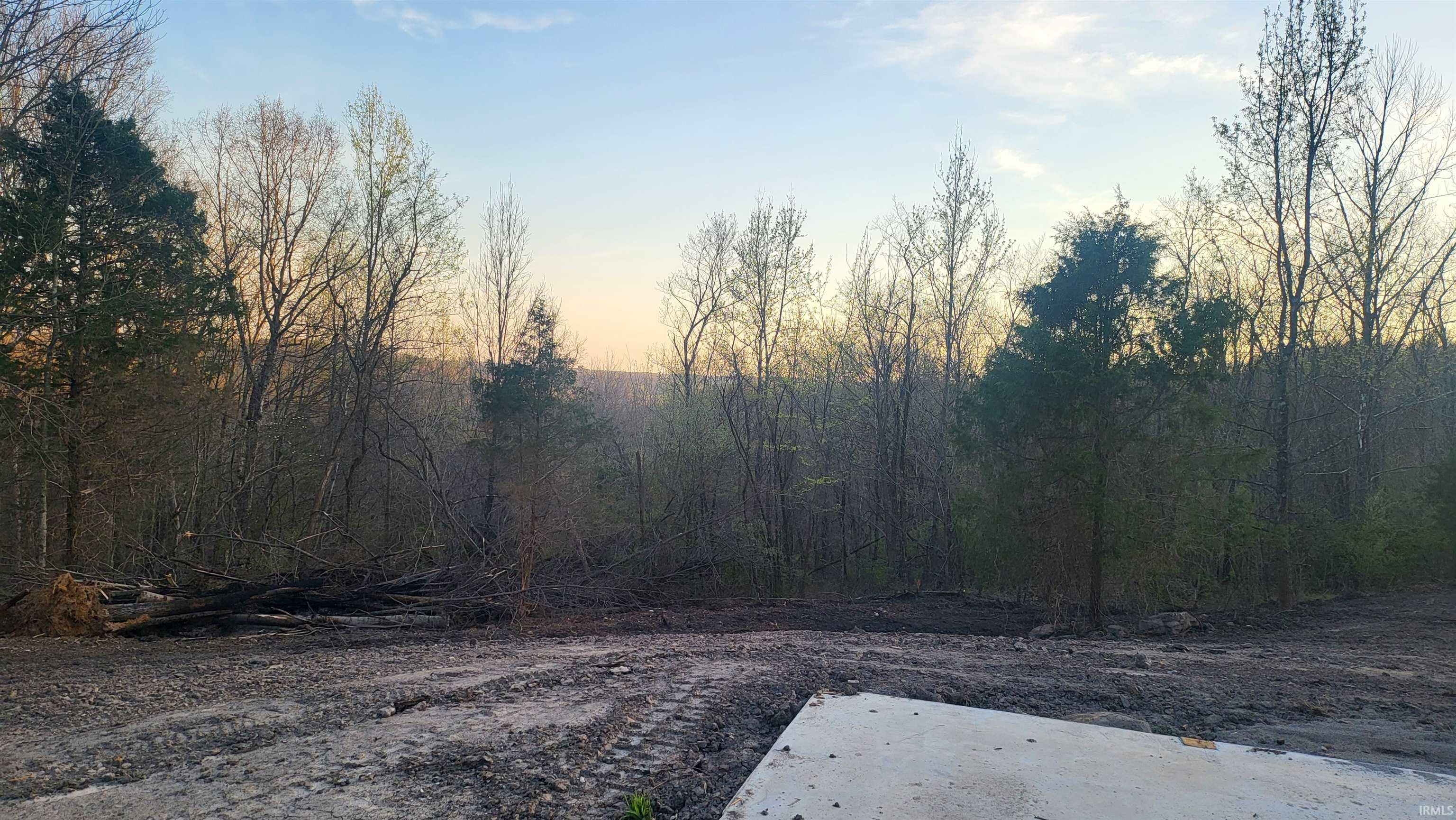 2500 South Coalmine Road Bloomfield, IN 47424 - Photo 4 of 9