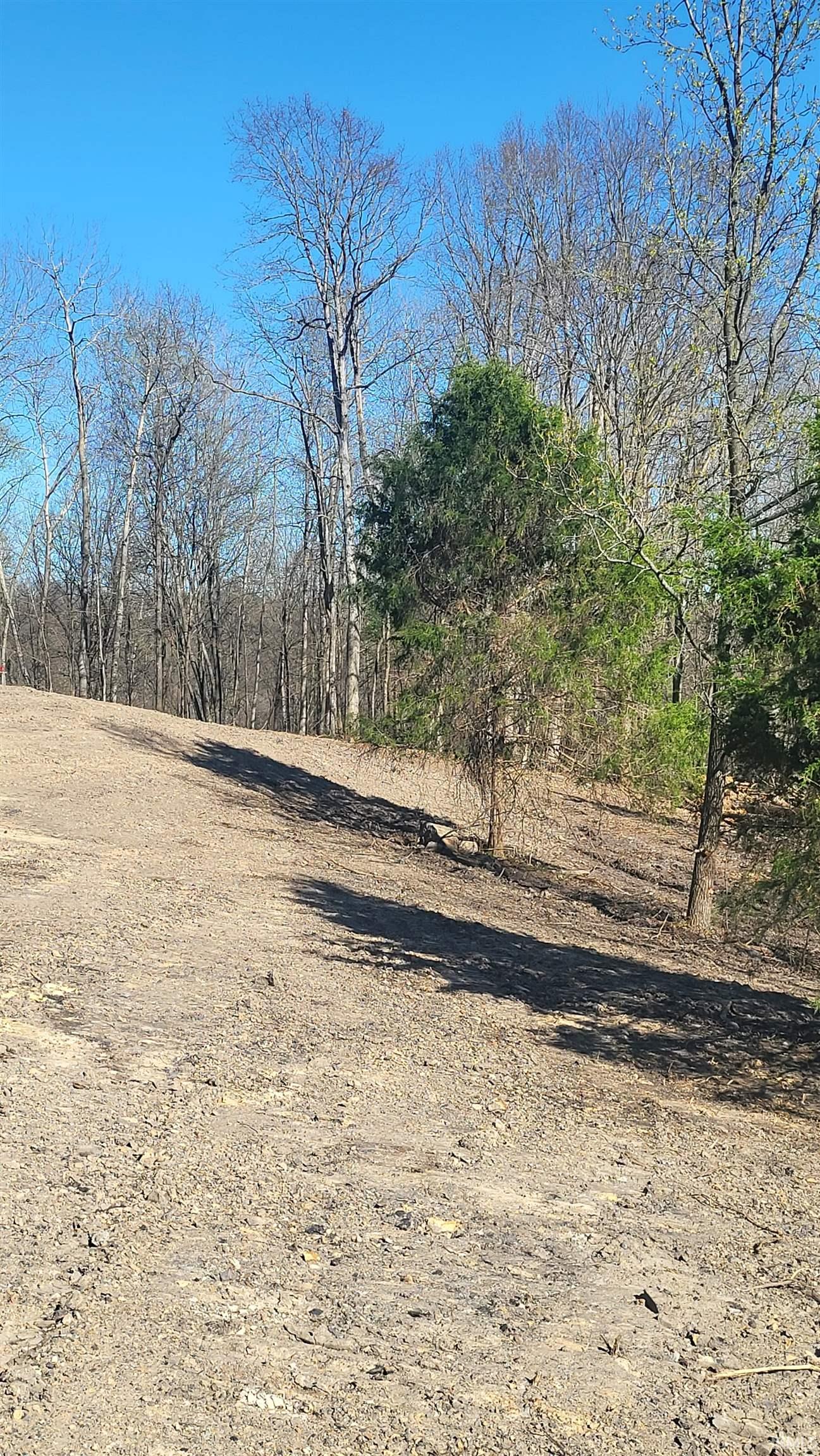 2500 South Coalmine Road Bloomfield, IN 47424 - Photo 5 of 9