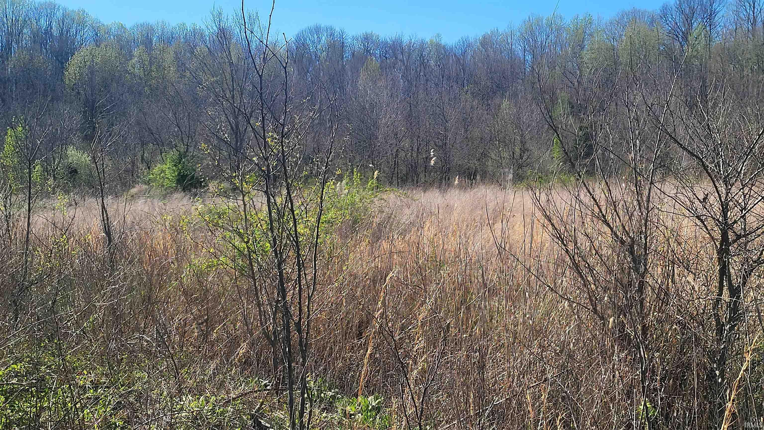 2500 South Coalmine Road Bloomfield, IN 47424 - Photo 7 of 9