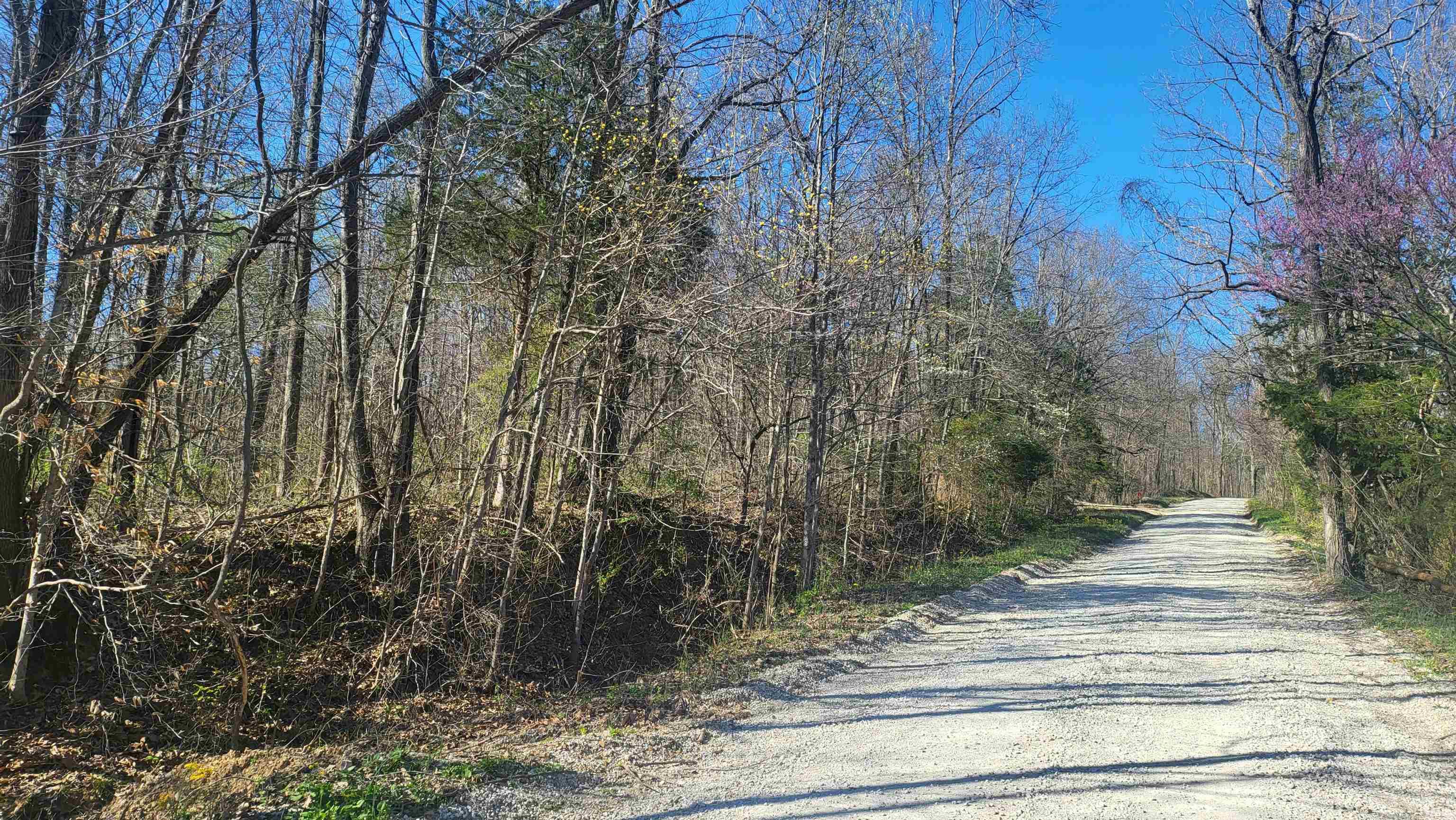 2500 South Coalmine Road Bloomfield, IN 47424 - Photo 8 of 9