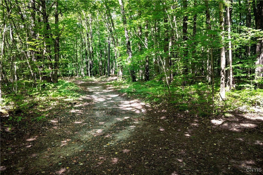 595 South Side Road Russia, NY 13324 - Photo 41 of 50 Traill to the Beach