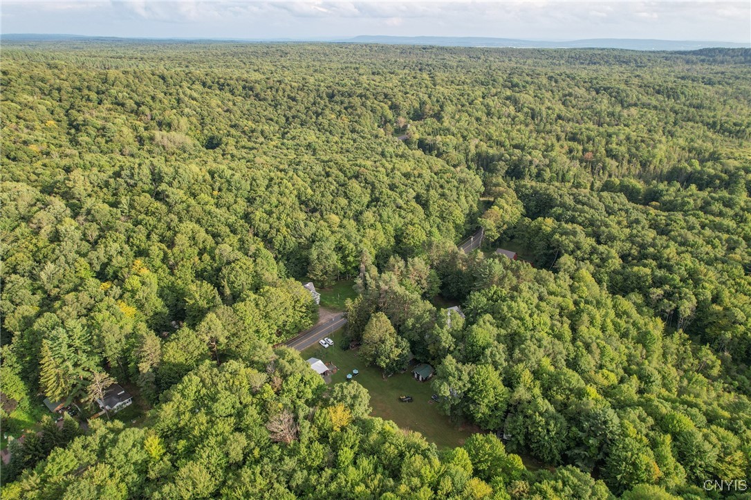 595 South Side Road Russia, NY 13324 - Photo 46 of 50