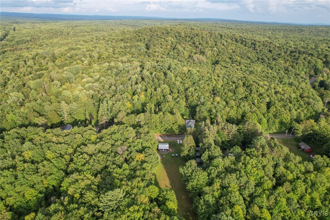 595 South Side Road Russia, NY 13324 - Photo 47 of 50