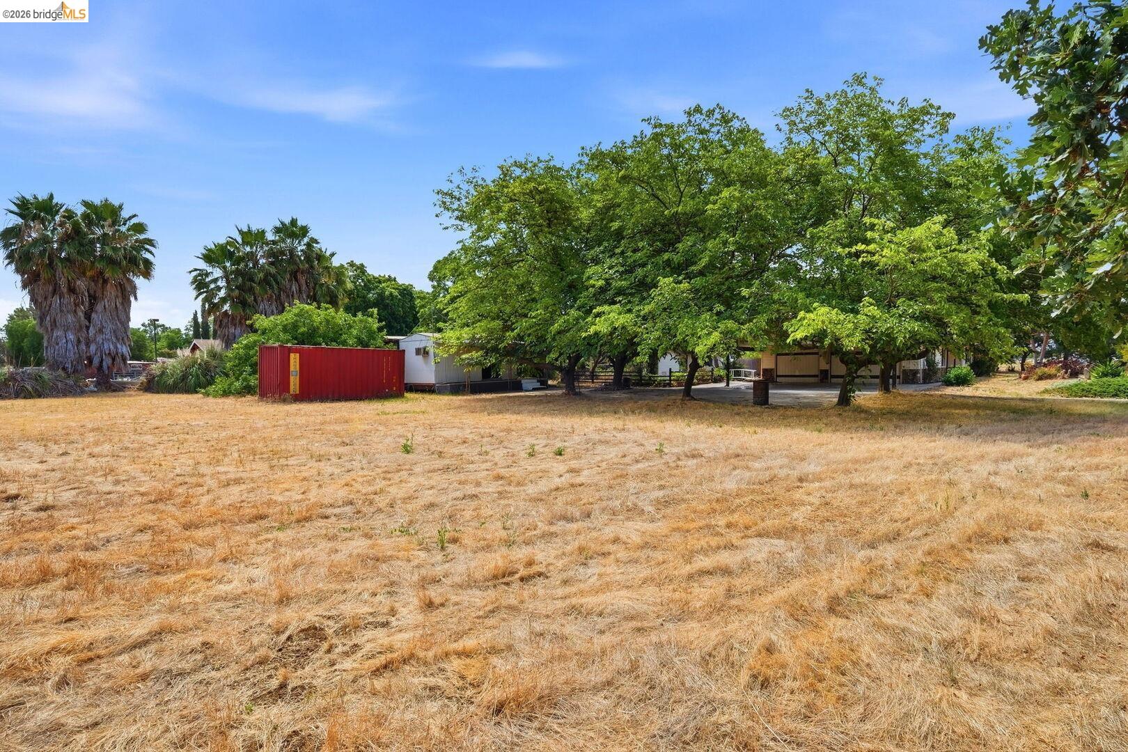 1590 Sunset Road Brentwood, CA 94513 - Photo 45 of 45 Expansive open field with scattered mature trees and distant palm trees