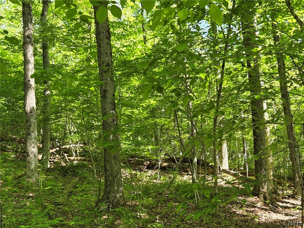 446 Nys Route Cuba, NY 14727 - Photo 44 of 47