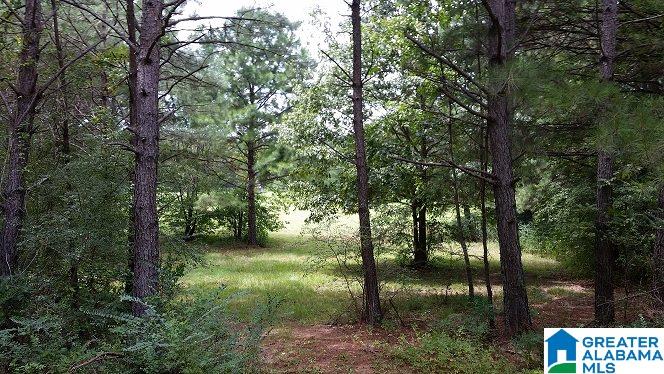 0 Coleman Road Sylacauga, AL 35150 - Photo 10 of 13