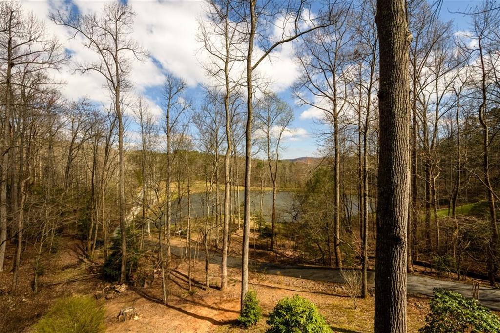 91 Whispering Lake Way Blue Ridge, GA 30513 - Photo 30 of 36