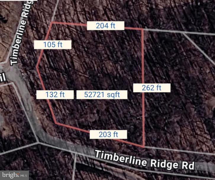 0 Timberline Ridge Road Front Royal, VA 22630 - Photo 3 of 23