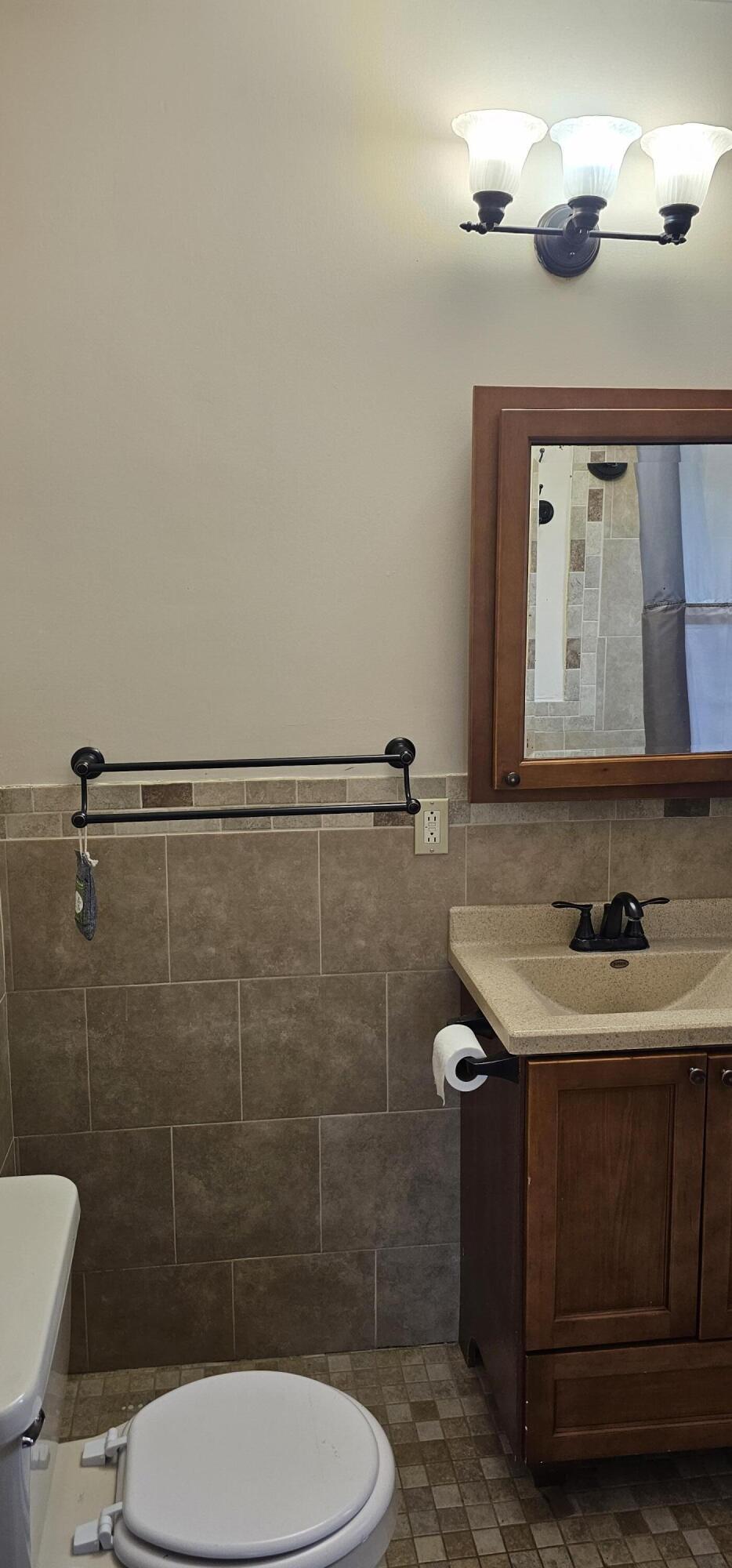 3815 Van Vleck Road Fenwick, MI 48834 - Photo 24 of 41 bathrm