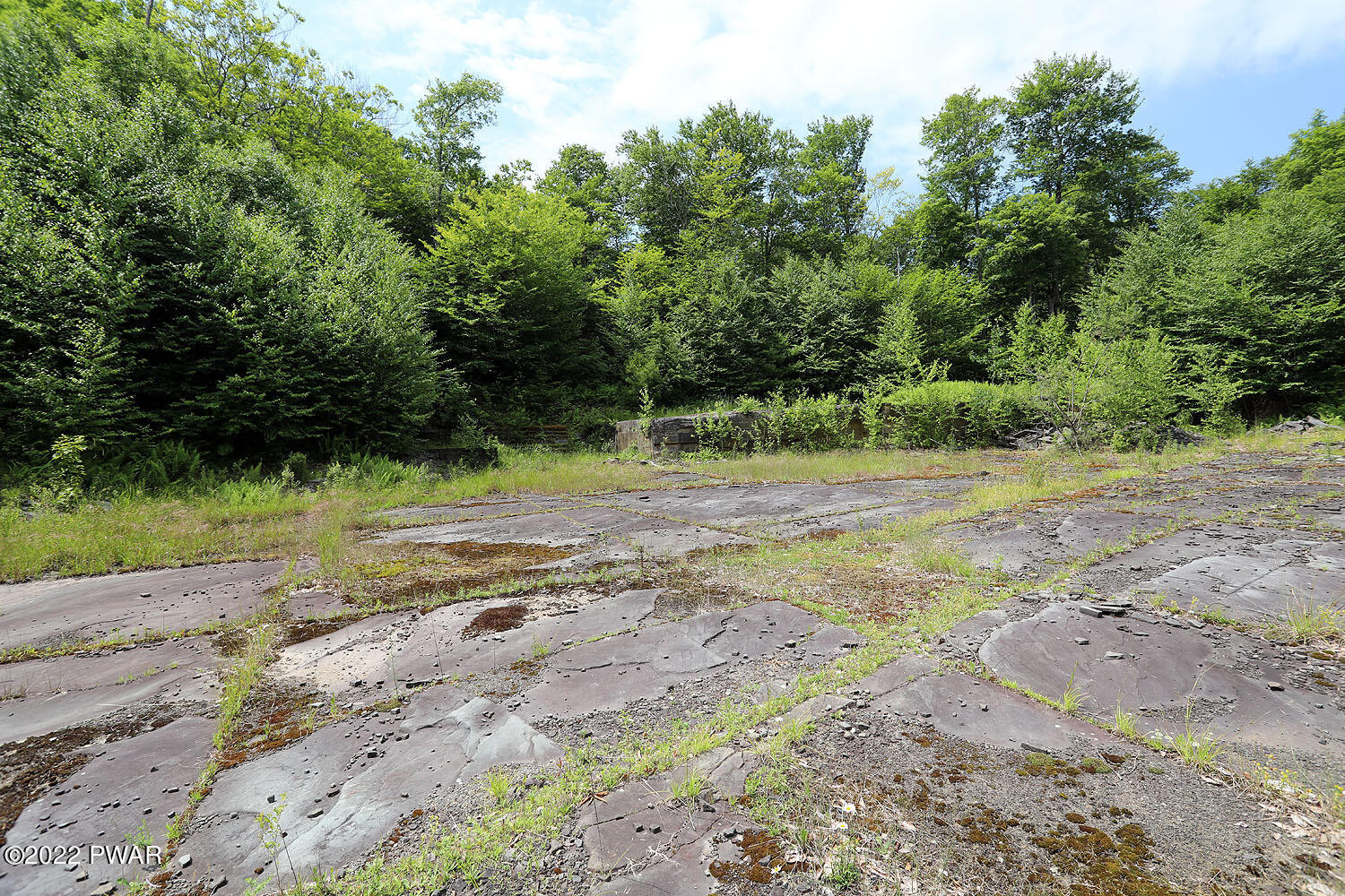 0 Minckler Mountain Road Damascus, PA 18415 - Photo 21 of 43
