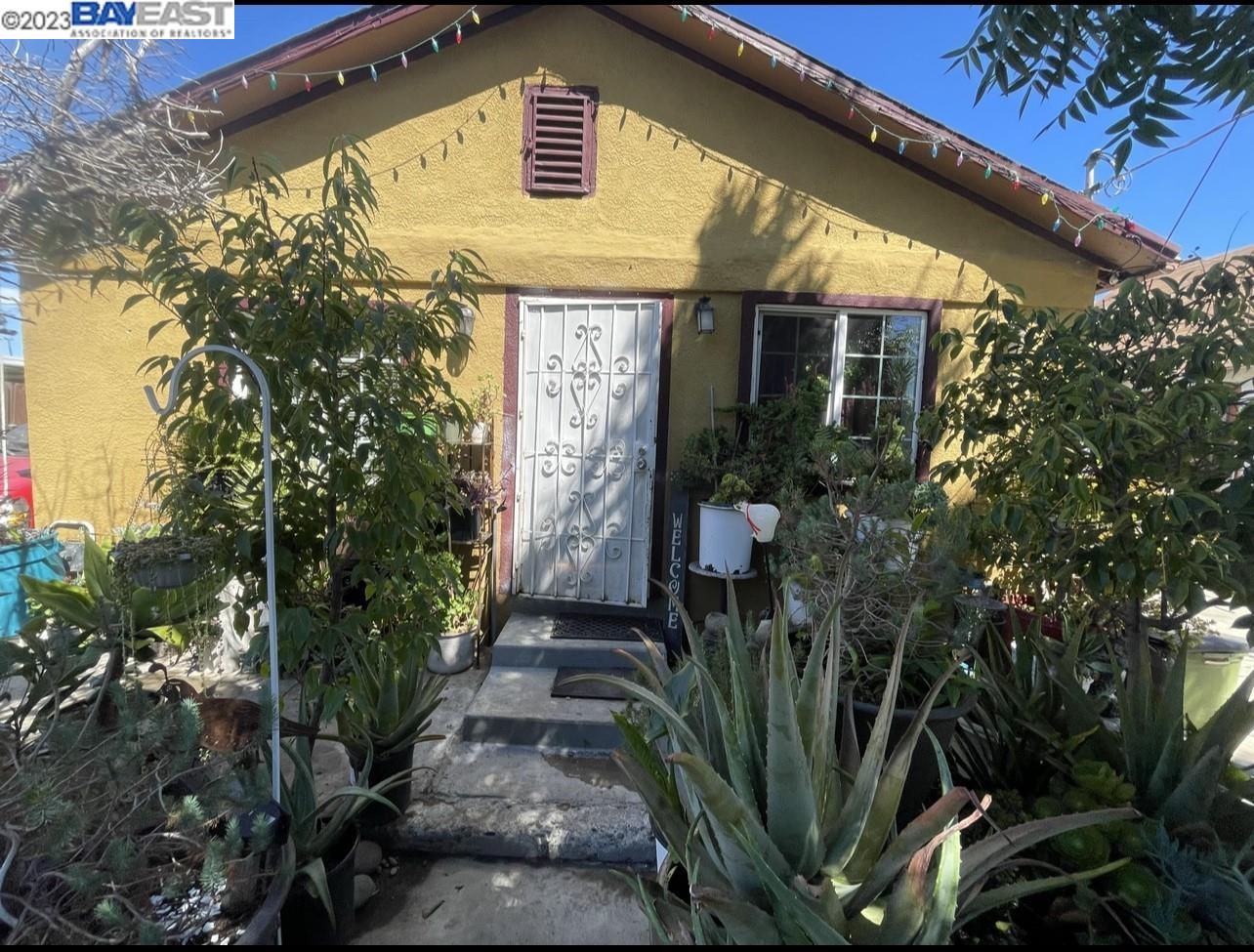 a front view of a house with plants