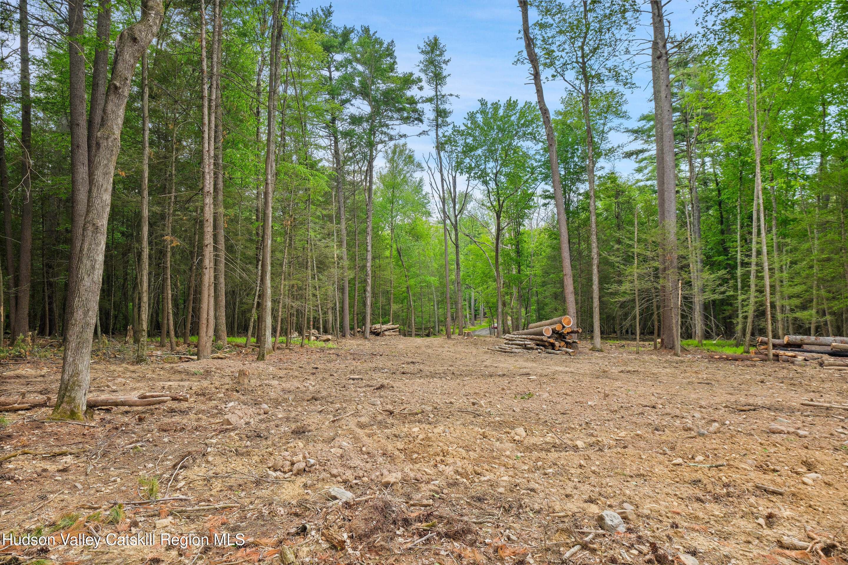 209 Beaverkill Road Kingston, NY 12401 - Photo 39 of 44 DSCF0244_1